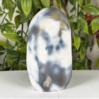Orca Agate Crystal Freeform- Gem Avenue Retail