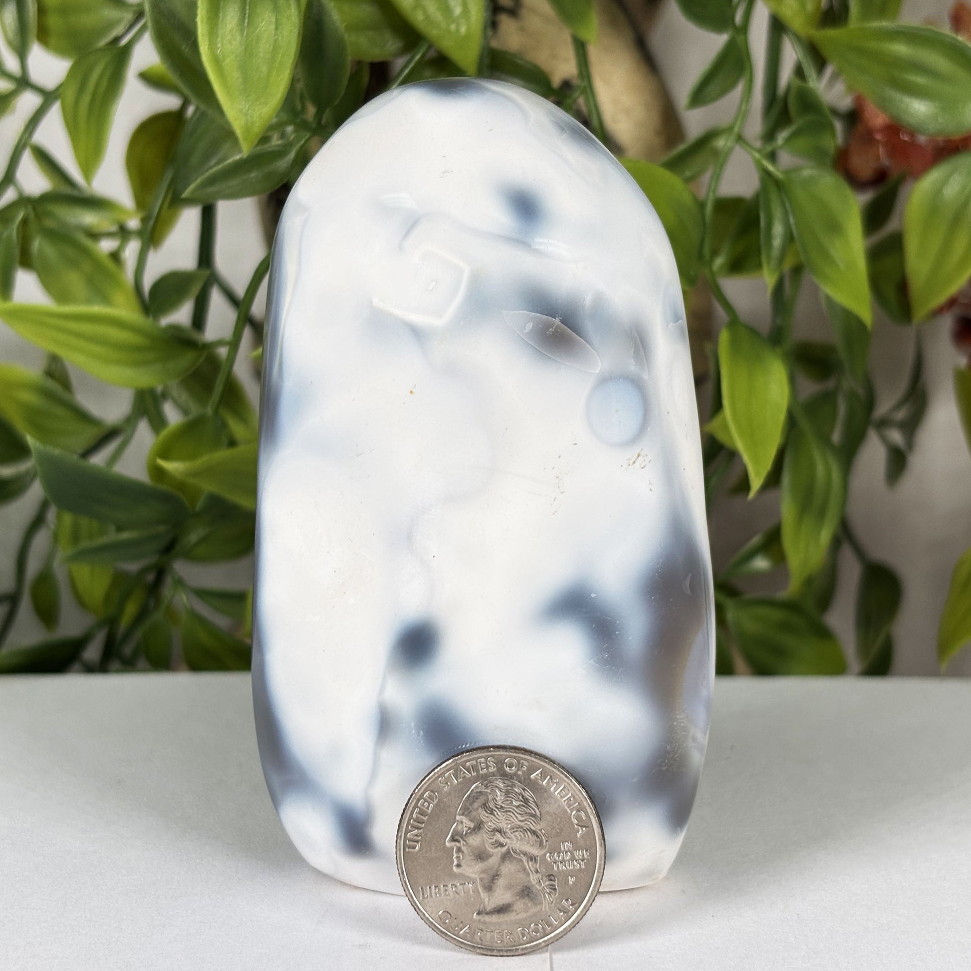 Orca Agate Crystal Freeform- Gem Avenue Retail