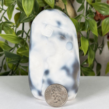 Orca Agate Crystal Freeform- Gem Avenue Retail