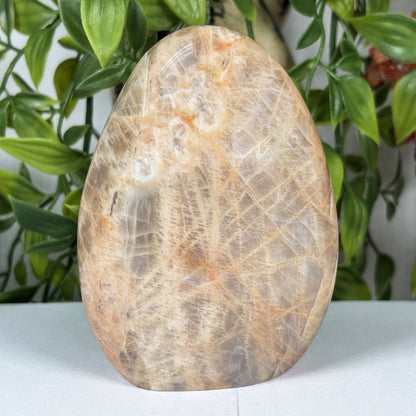 Moonstone Freeform Polished Crystal from Madagascar Natural Decorative Stone