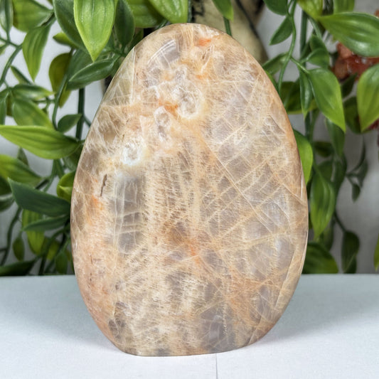 Moonstone Freeform Polished Crystal from Madagascar Natural Decorative Stone