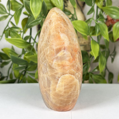 Moonstone Freeform Polished Crystal from Madagascar Natural Decorative Stone