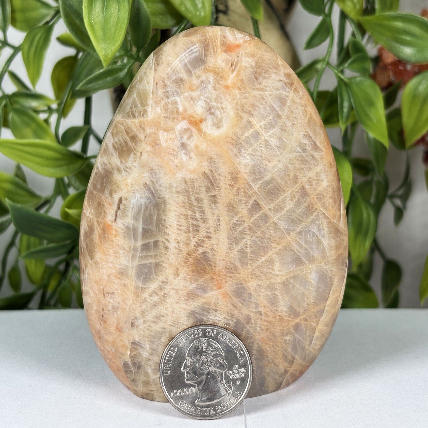 Moonstone Freeform Polished Crystal from Madagascar Natural Decorative Stone