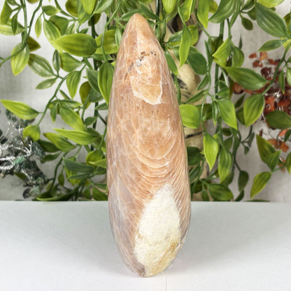 Moonstone Crystal Freeform  - Gem Avenue Retail