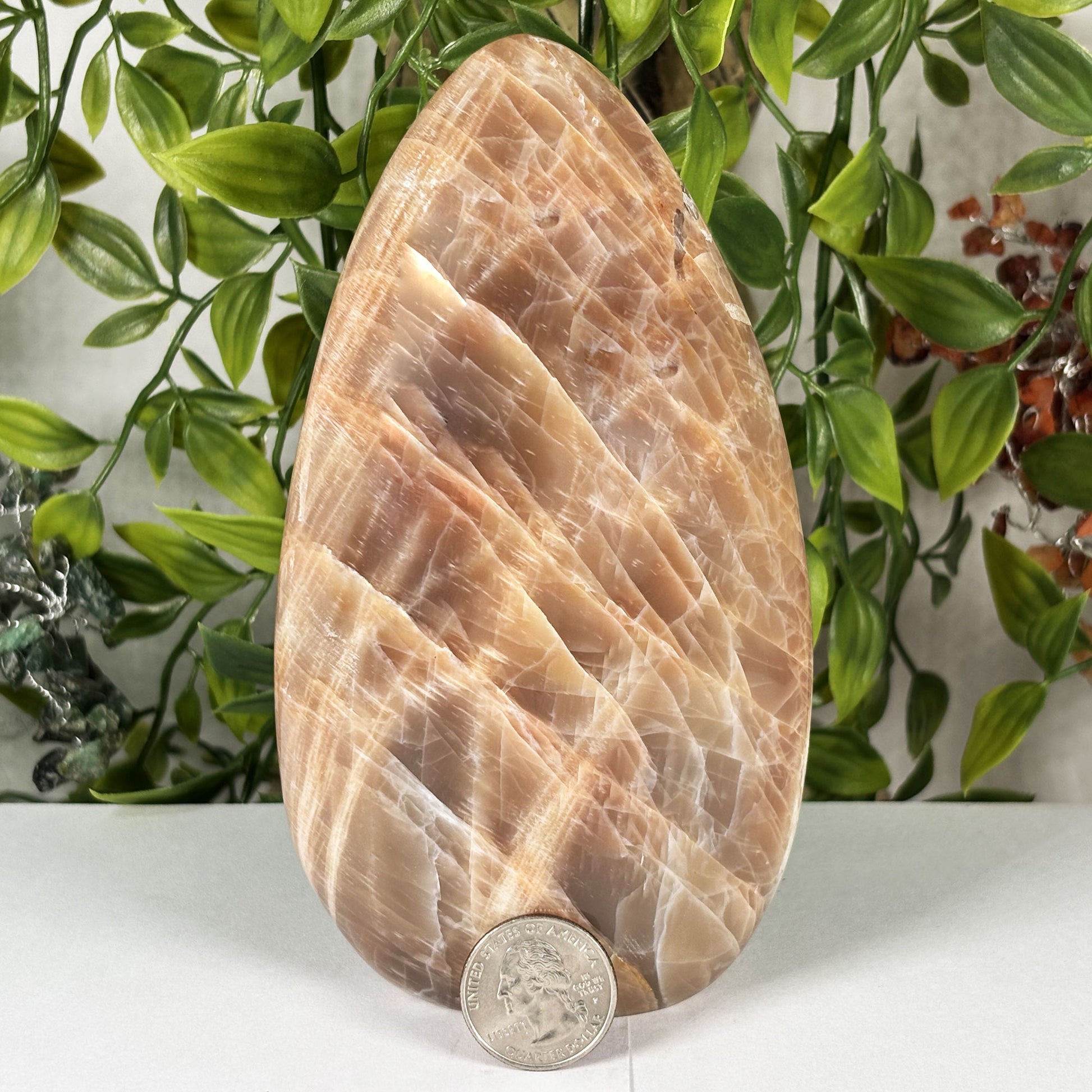Moonstone Crystal Freeform  - Gem Avenue Retail