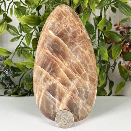 Moonstone Crystal Freeform  - Gem Avenue Retail