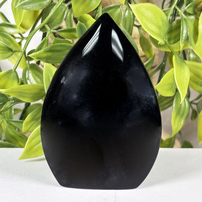 Black Obsidian Crystal Freeform - Gem Avenue Retail