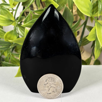 Black Obsidian Crystal Freeform - Gem Avenue Retail