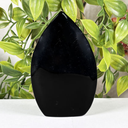 Black Obsidian Crystal Freeform - Gem Avenue Retail