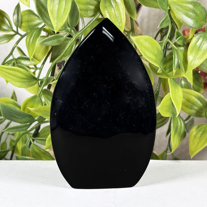 Black Obsidian Crystal Freeform - Gem Avenue Retail