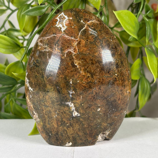 Madagascar Sea Jasper Freeform Crystal Egg Shape Polished Healing Stone
