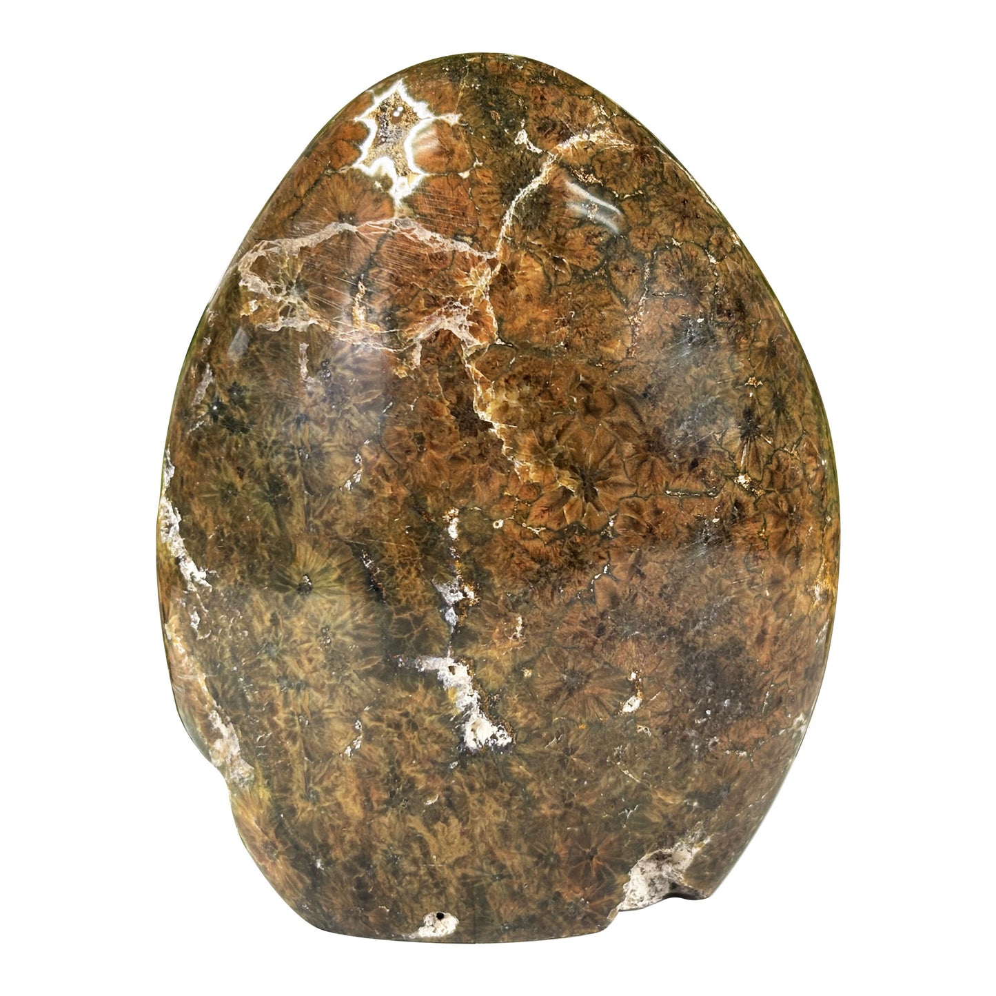 Madagascar Sea Jasper Freeform Crystal Egg Shape Polished Healing Stone