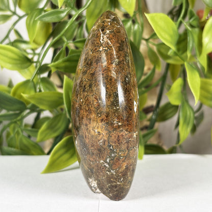 Madagascar Sea Jasper Freeform Crystal Egg Shape Polished Healing Stone