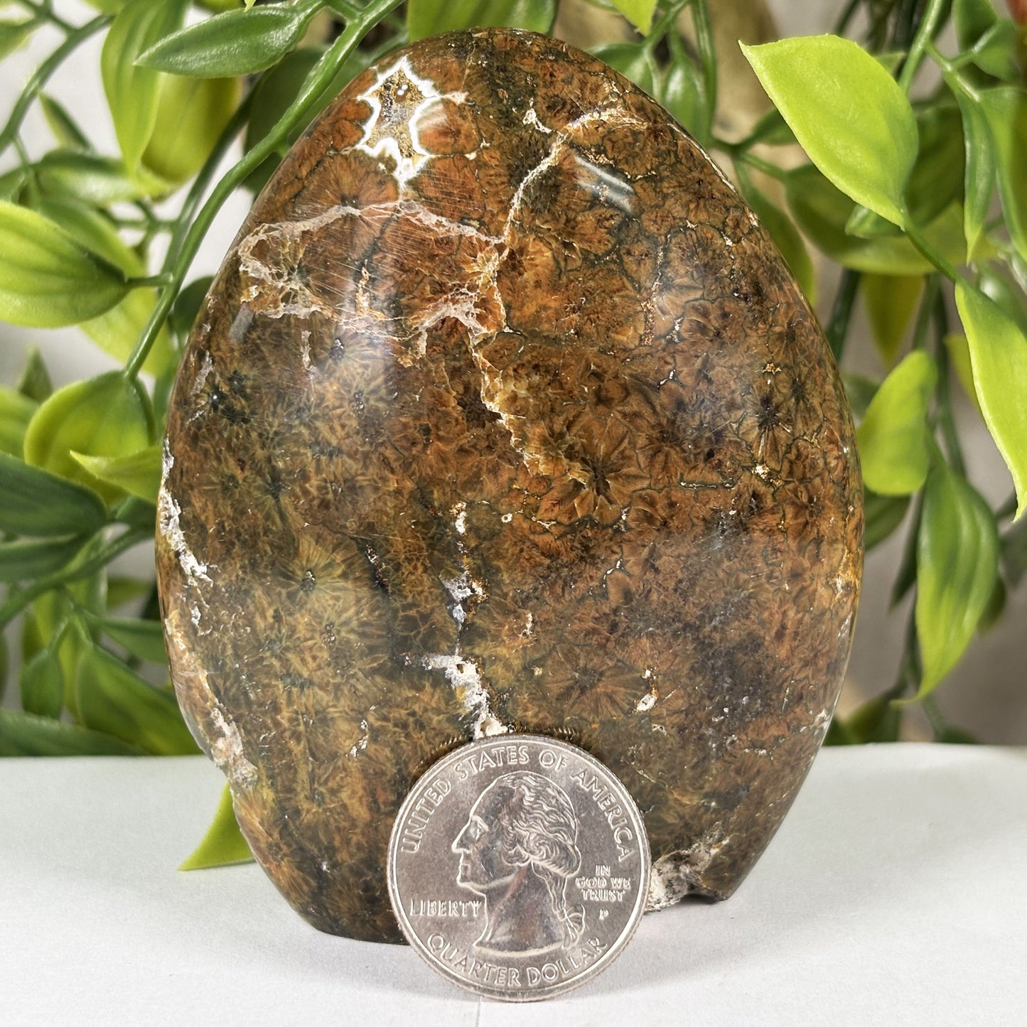 Madagascar Sea Jasper Freeform Crystal Egg Shape Polished Healing Stone