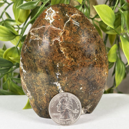 Madagascar Sea Jasper Freeform Crystal Egg Shape Polished Healing Stone