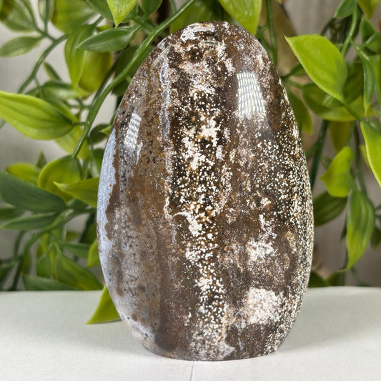 Natural Sea Jasper Freeform Crystal from Madagascar Polished Healing Stone