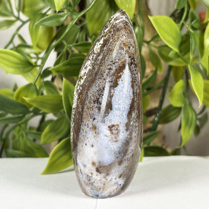 Sea Jasper Gemstone Freeform - Gem Avenue Retail