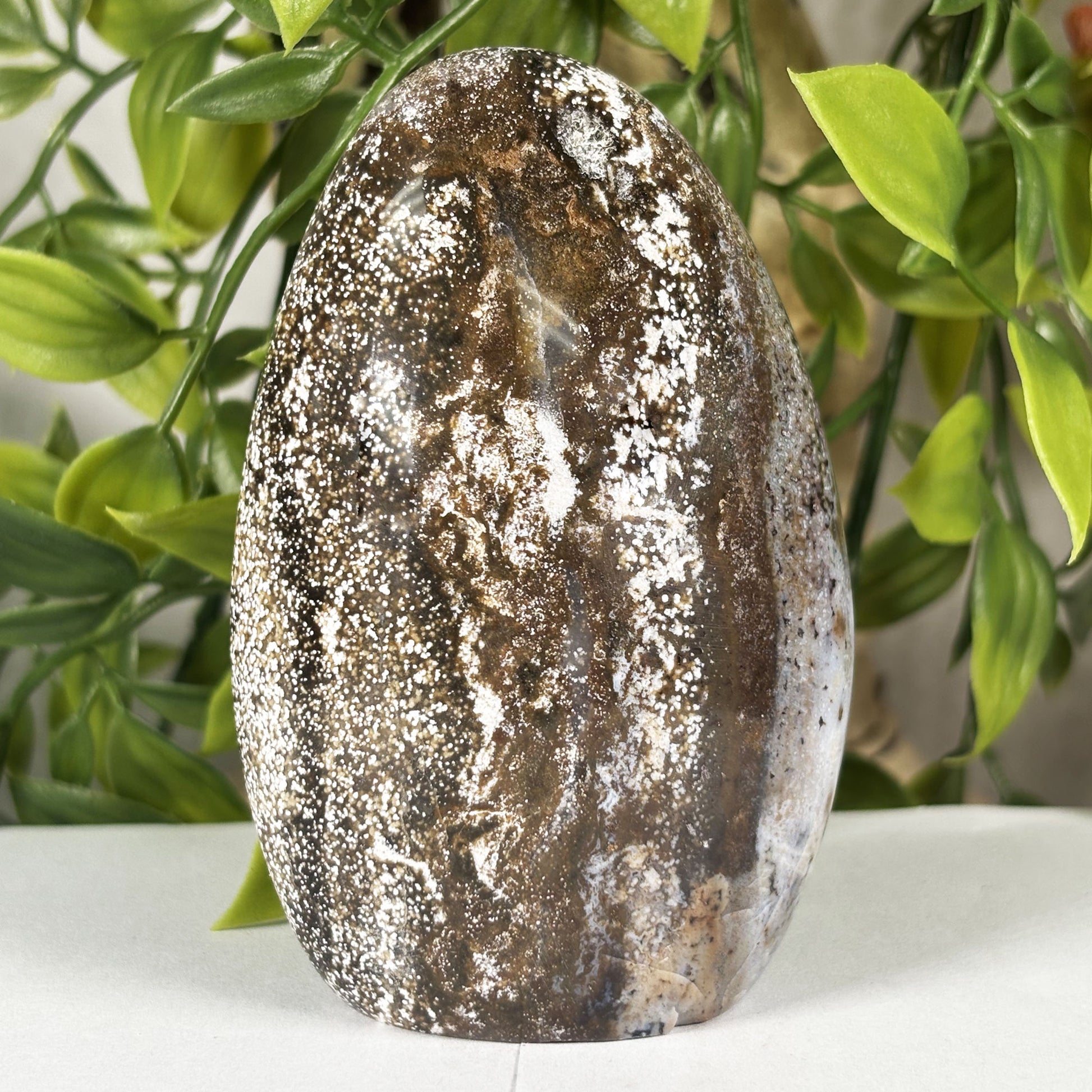 Sea Jasper Gemstone Freeform - Gem Avenue Retail