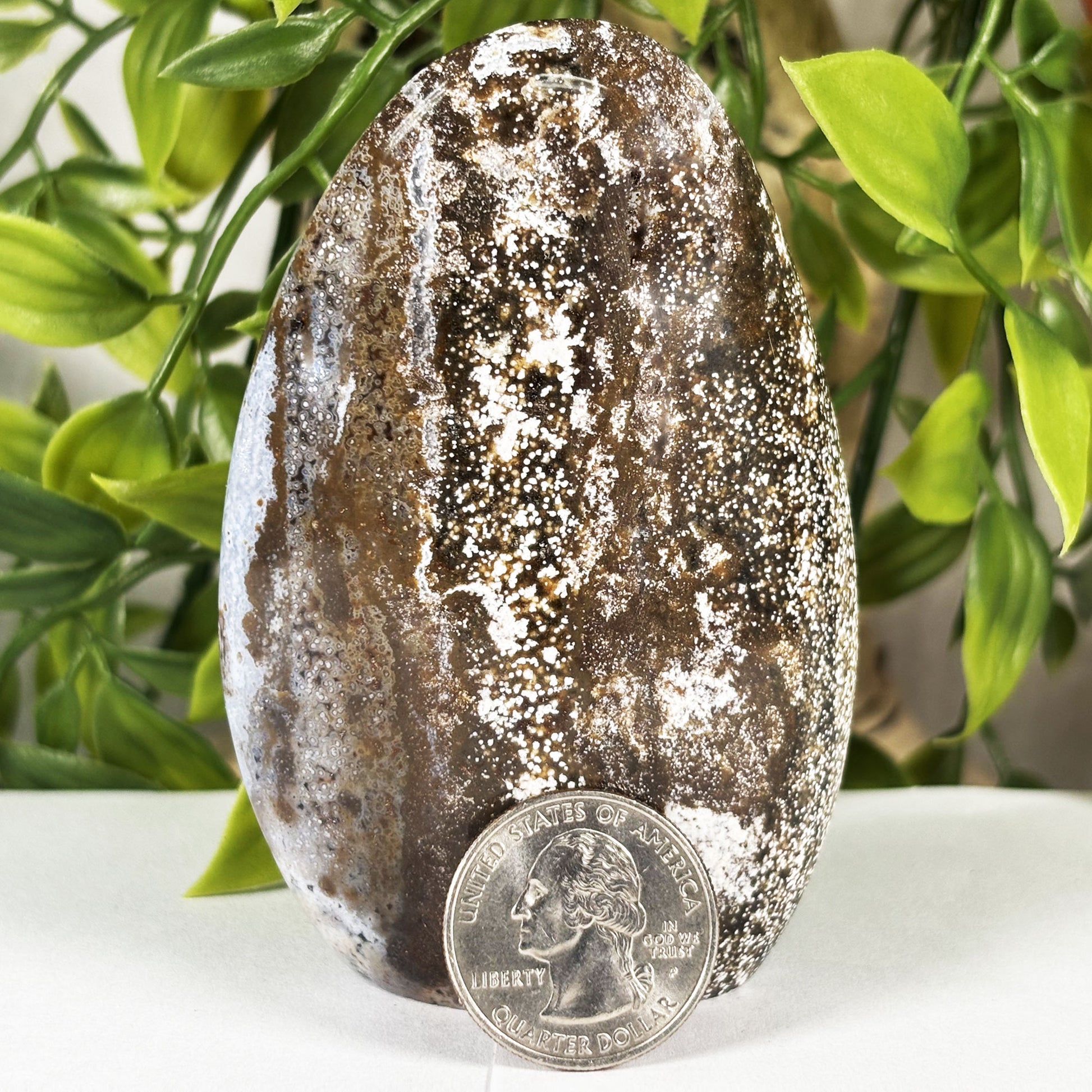 Sea Jasper Gemstone Freeform - Gem Avenue Retail