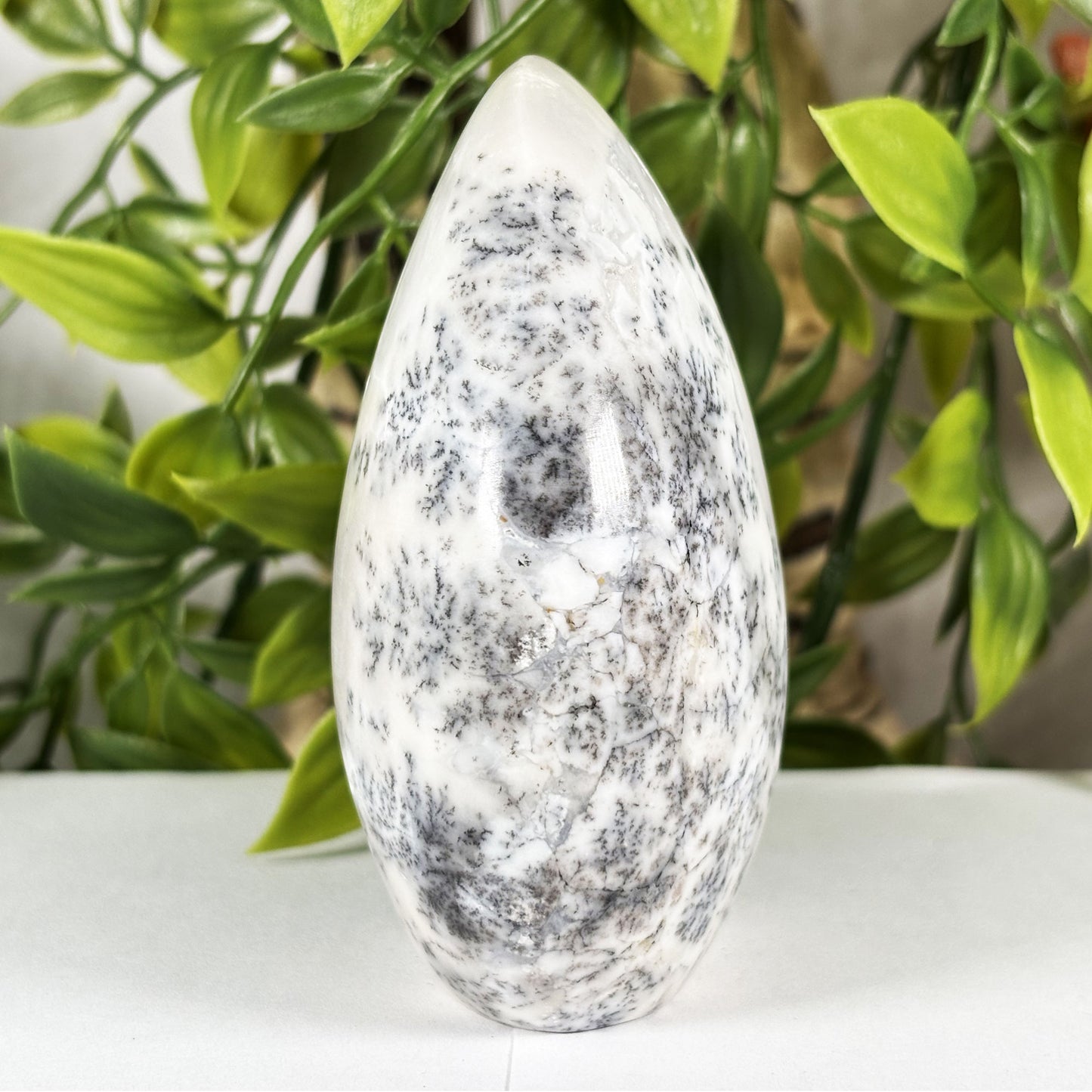 Dendritic Agate Crystal Freeform - Gem Avenue Retail