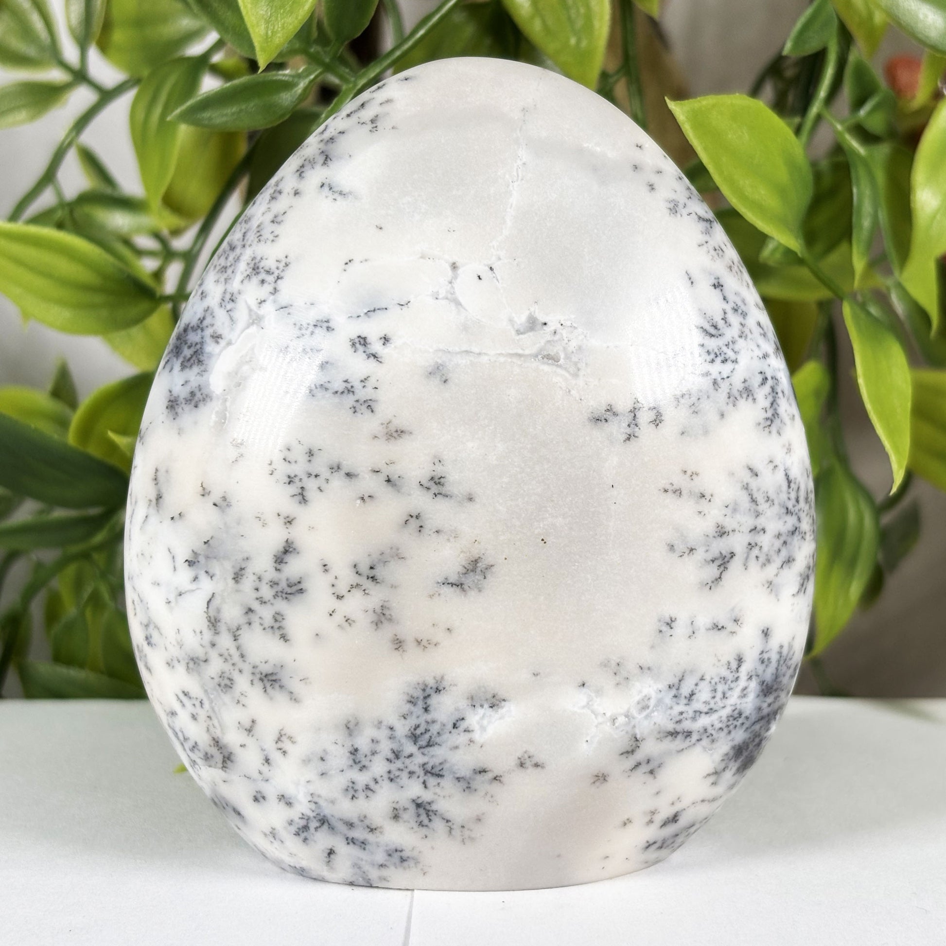 Dendritic Agate Crystal Freeform - Gem Avenue Retail