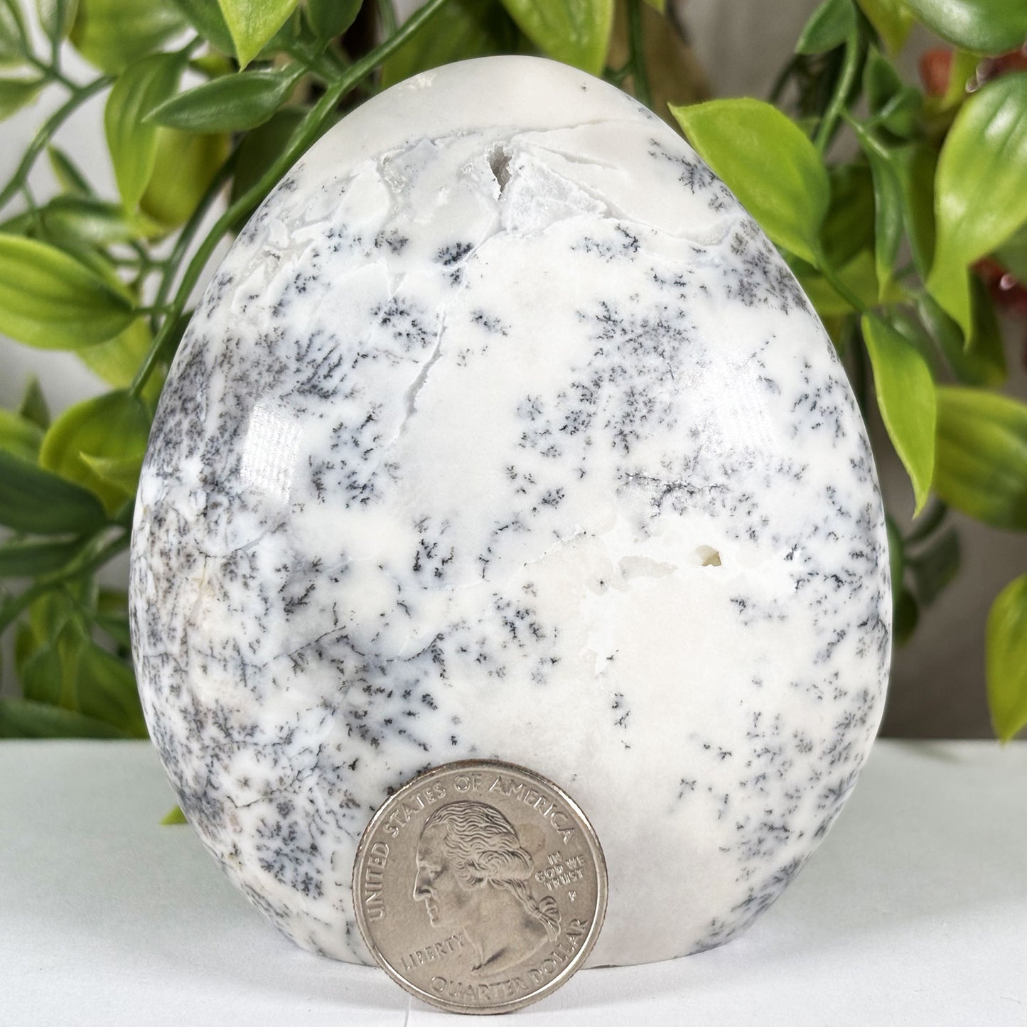 Dendritic Agate Crystal Freeform - Gem Avenue Retail