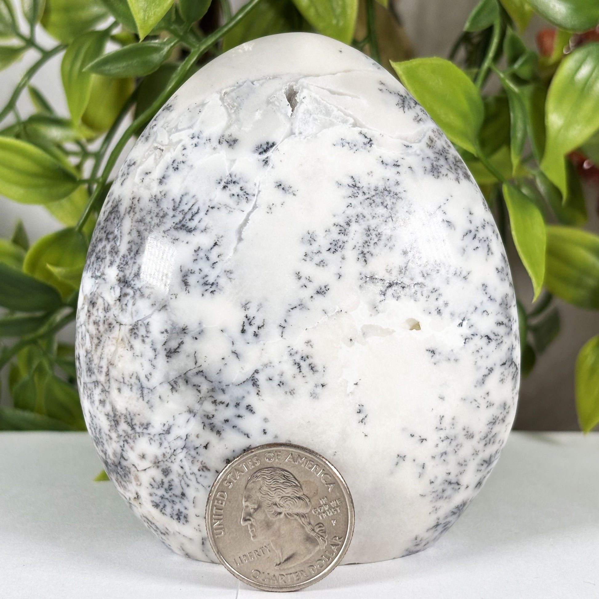 Dendritic Agate Crystal Freeform - Gem Avenue Retail