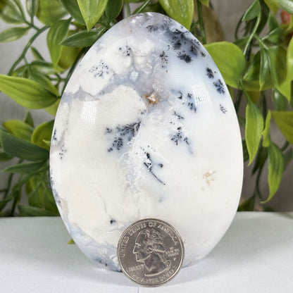 Dendritic Agate Crystal Freeform - Gem Avenue Retail