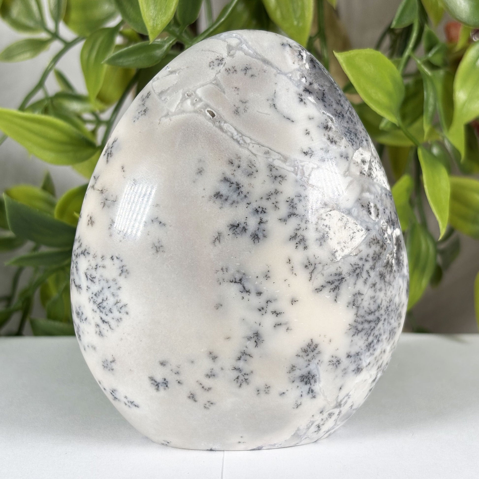 Dendritic Agate Crystal Freeform - Gem Avenue Retail