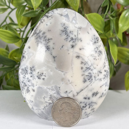 Dendritic Agate Crystal Freeform - Gem Avenue Retail