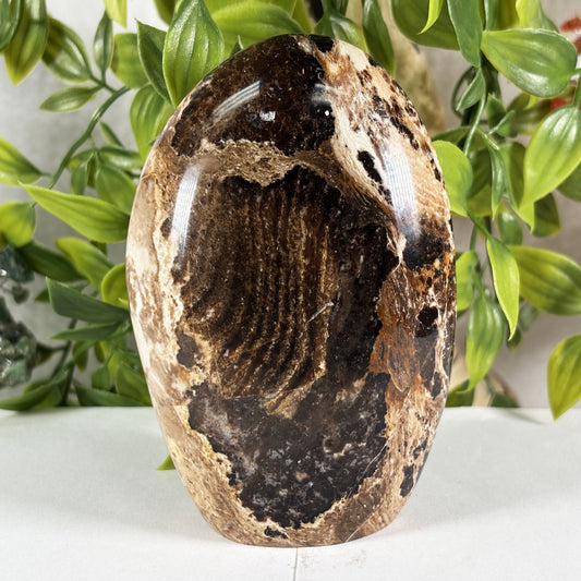 Chocolate Calcite Crystal Gemstone Freeform  - Gem Avenue Retail