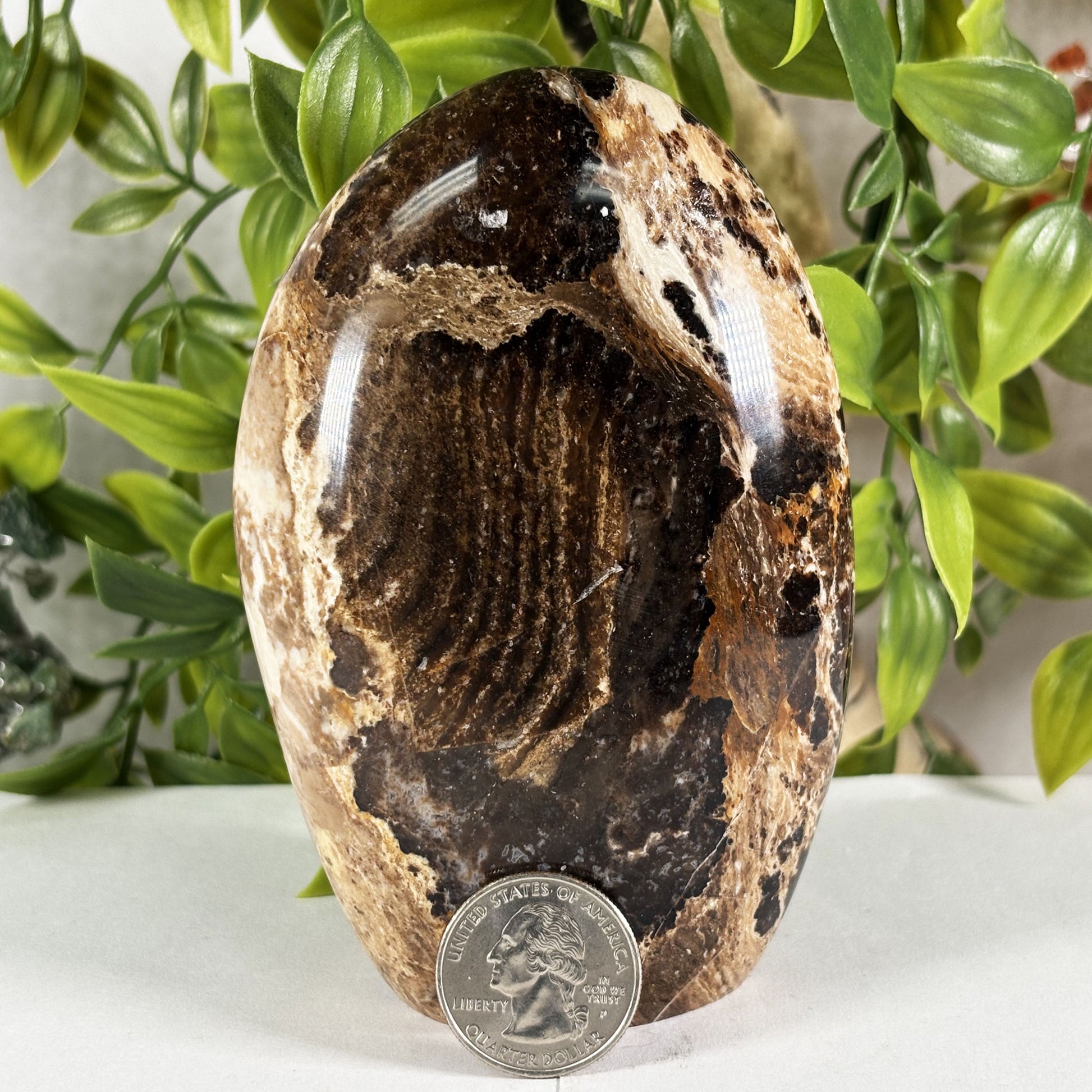 Chocolate Calcite Crystal Gemstone Freeform  - Gem Avenue Retail