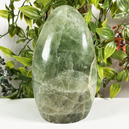 Green Fluorite Crystal Gemstone Freeform  - Gem Avenue Retail