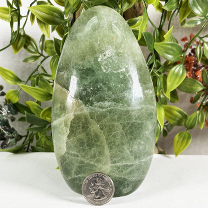 Green Fluorite Crystal Gemstone Freeform  - Gem Avenue Retail