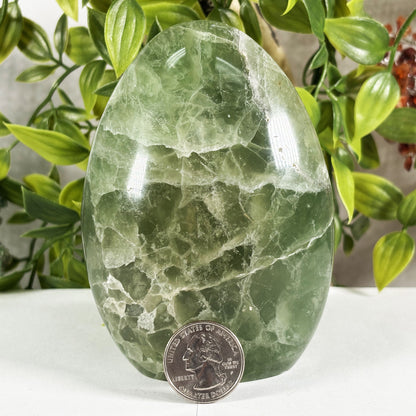 Green Fluorite Crystal Freeform - Gem Avenue Retail