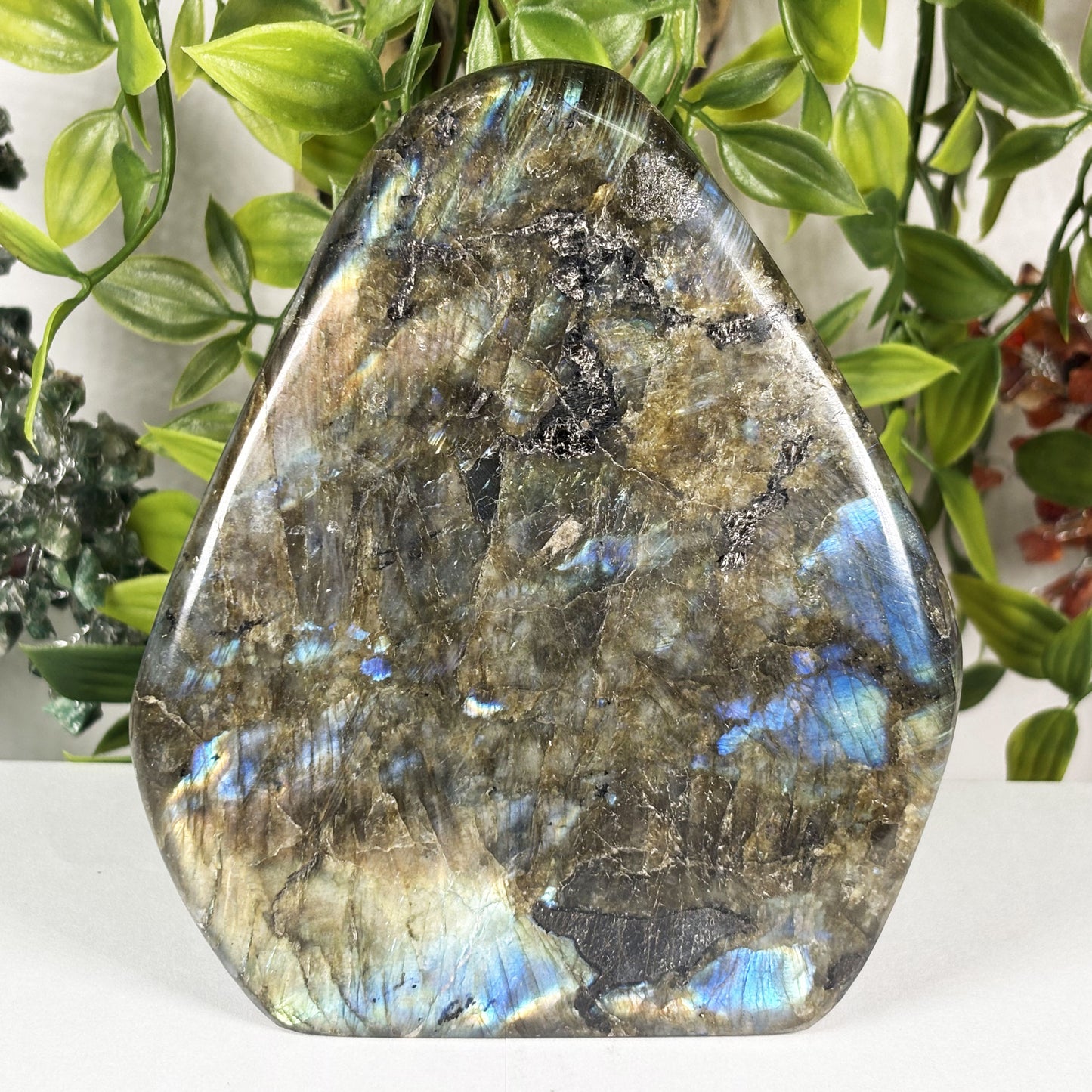 Labradorite Crystal Freeform - Gem Avenue Retail