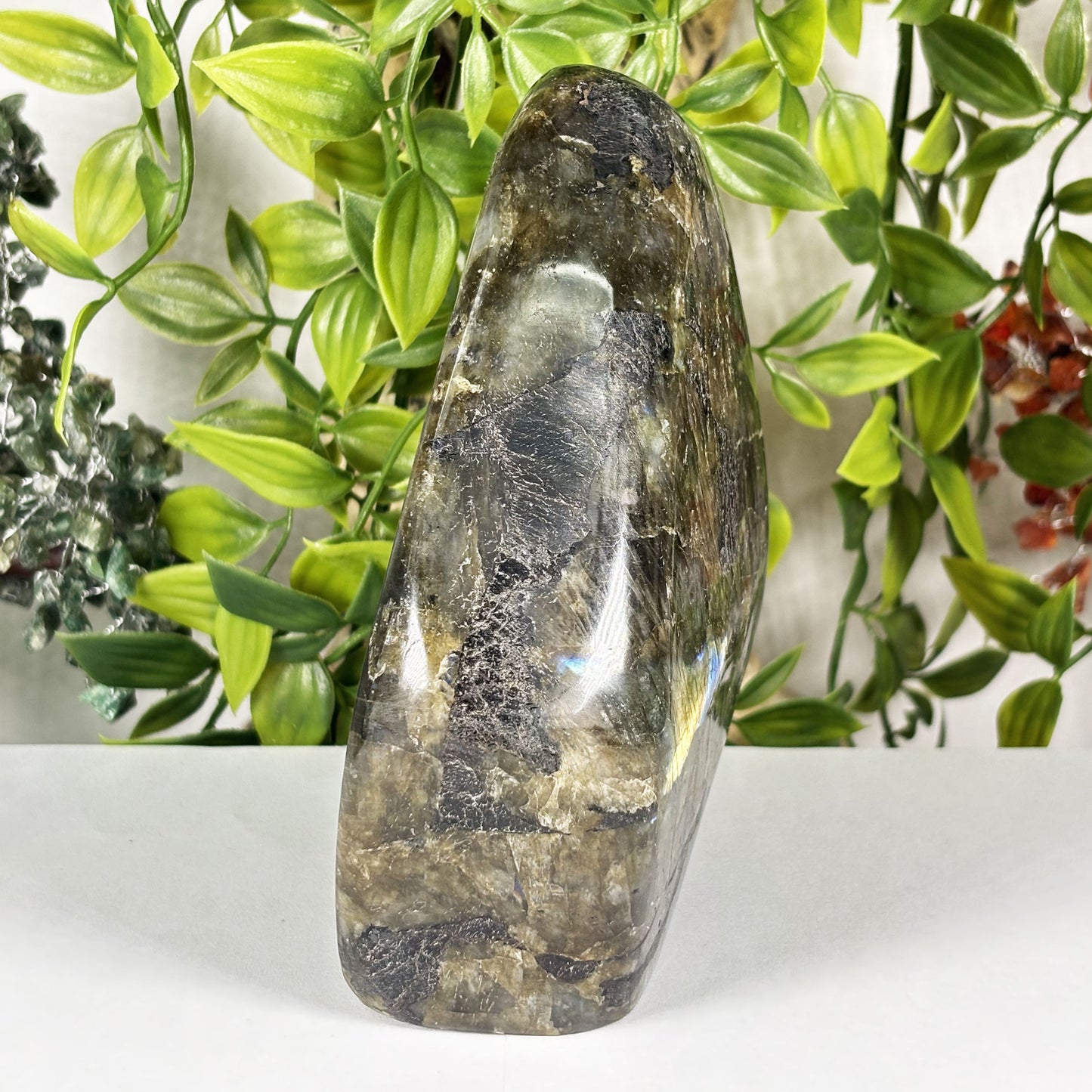 Labradorite Crystal Freeform - Gem Avenue Retail