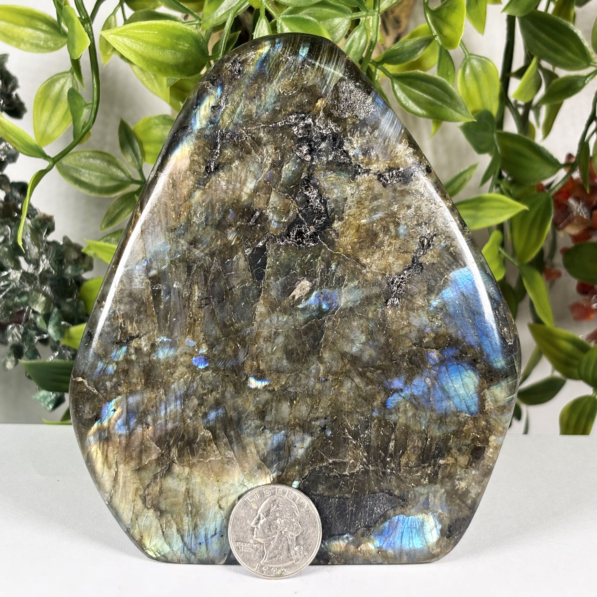 Labradorite Crystal Freeform - Gem Avenue Retail