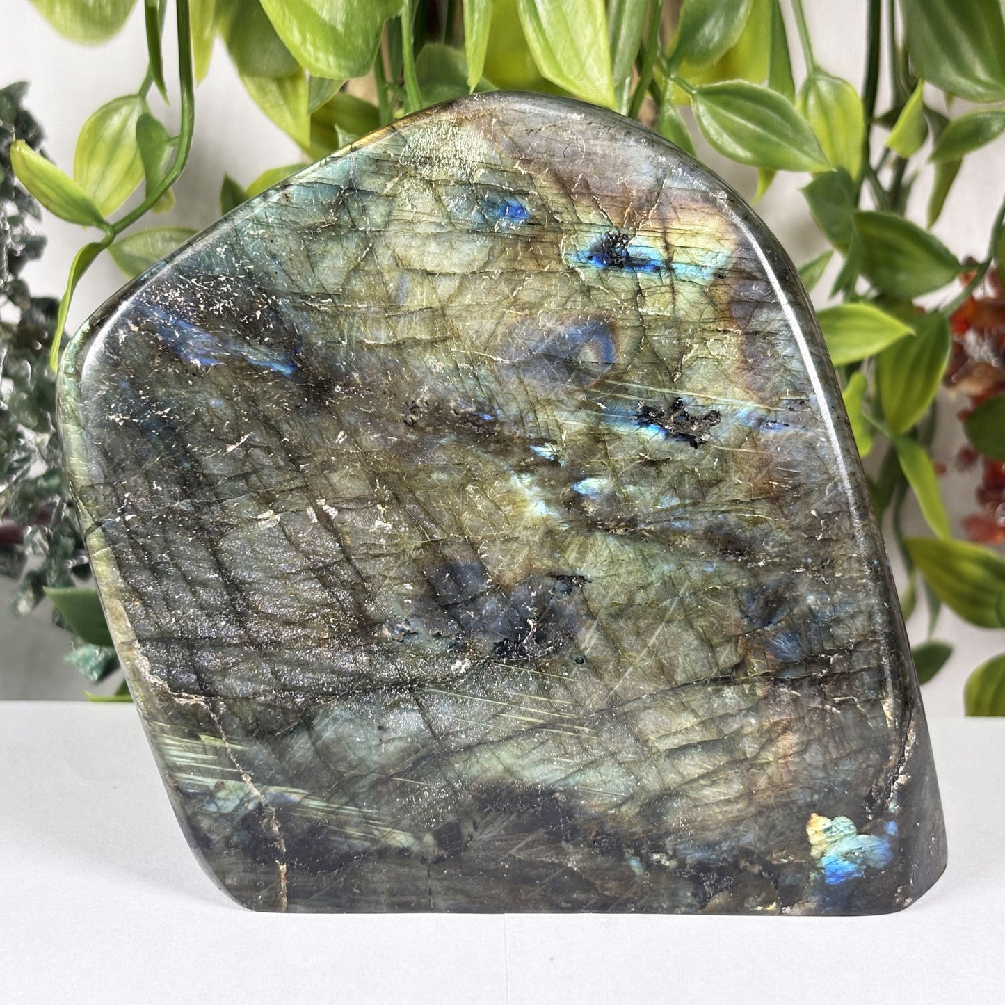 Natural Labradorite Freeform Polished Crystal Display Stone Madagascar 5 Inch