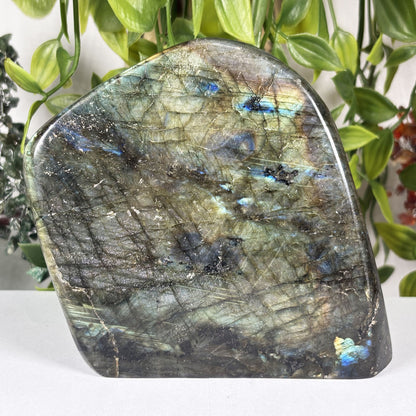 Natural Labradorite Freeform Polished Crystal Display Stone Madagascar 5 Inch