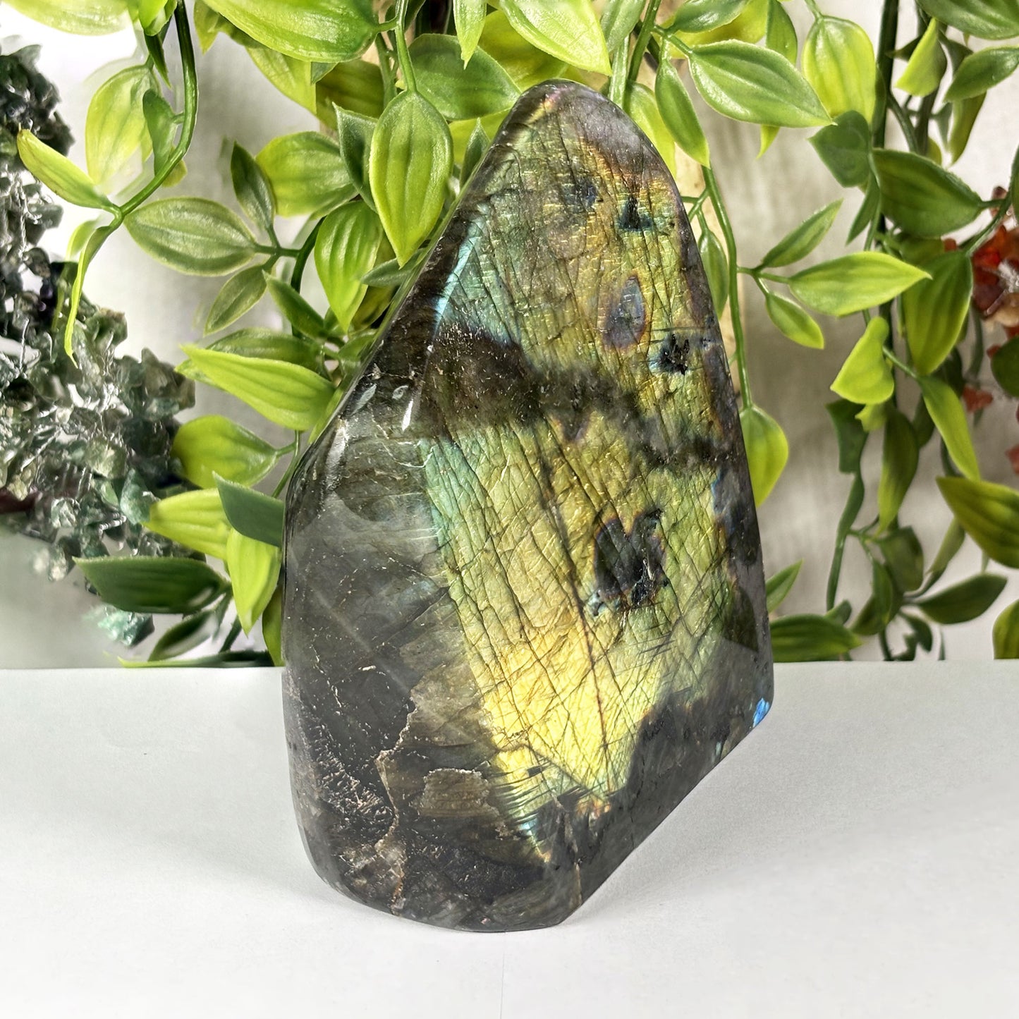 Natural Labradorite Freeform Polished Crystal Display Stone Madagascar 5 Inch