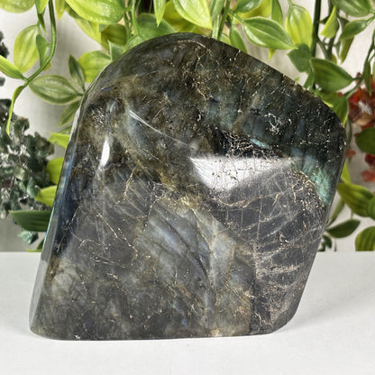 Natural Labradorite Freeform Polished Crystal Display Stone Madagascar 5 Inch