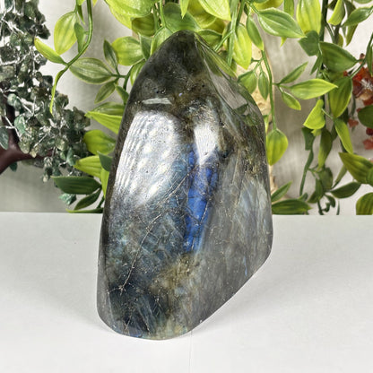 Natural Labradorite Freeform Polished Crystal Display Stone Madagascar 5 Inch