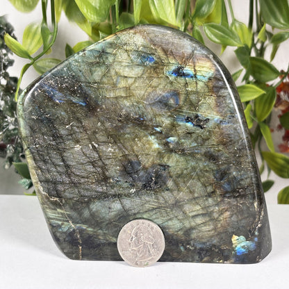 Natural Labradorite Freeform Polished Crystal Display Stone Madagascar 5 Inch