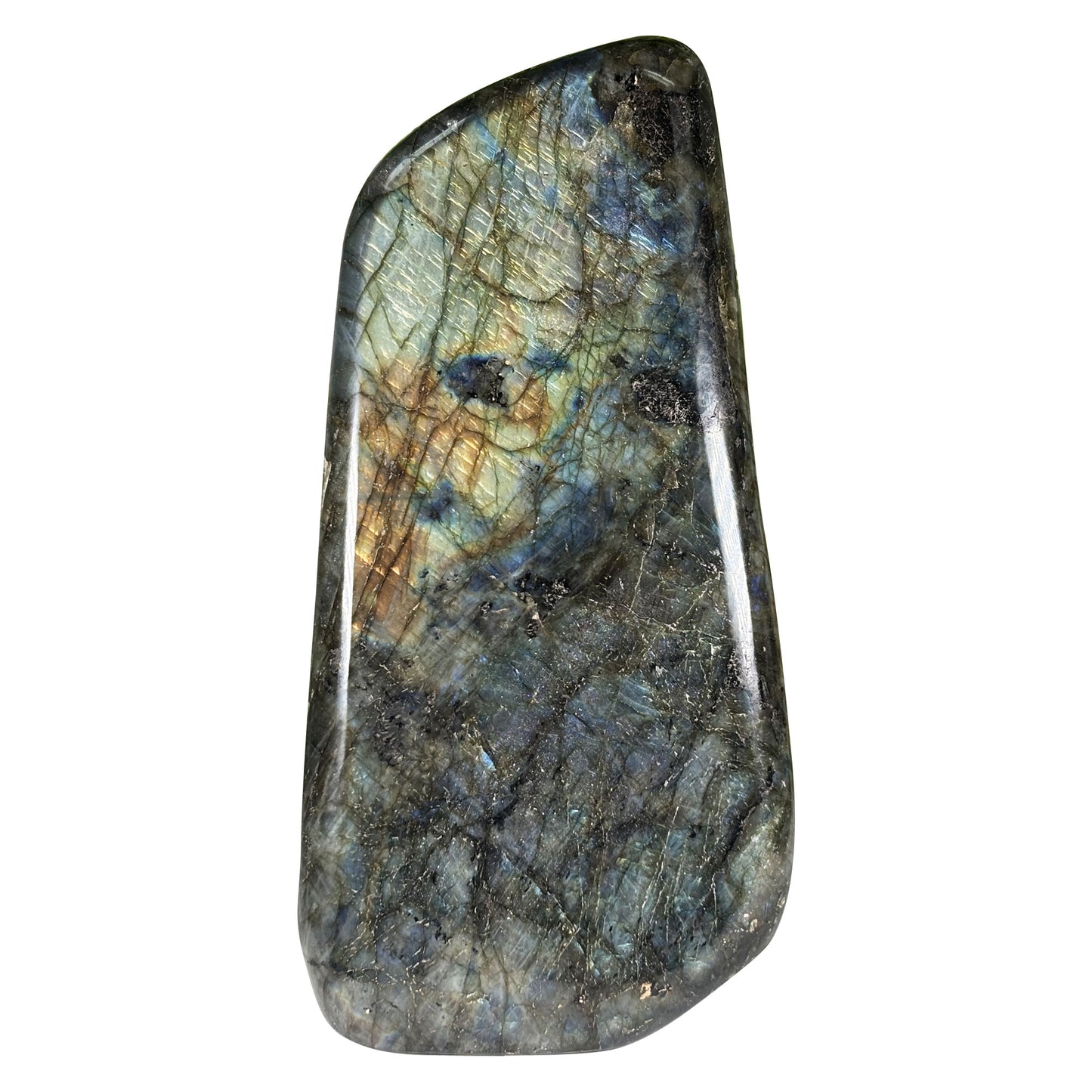 Natural Labradorite Crystal Freeform Blue Flash Polished Display Specimen 8 Inch Madagascar