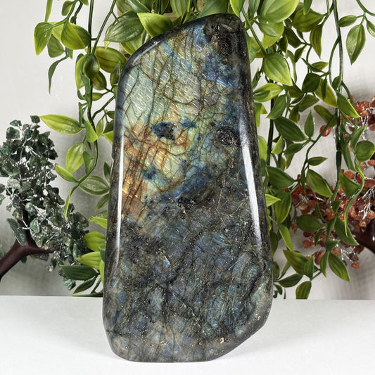 Natural Labradorite Crystal Freeform Blue Flash Polished Display Specimen 8 Inch Madagascar