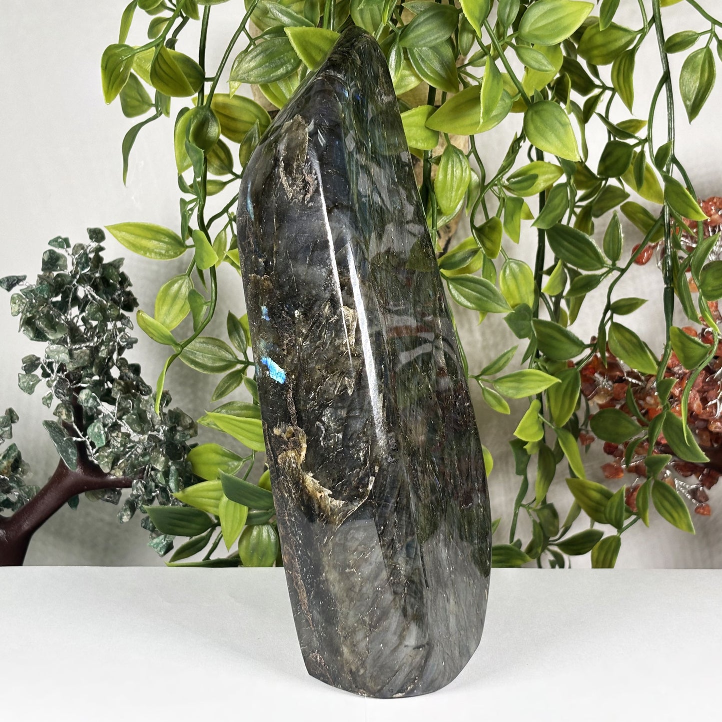 Natural Labradorite Crystal Freeform Blue Flash Polished Display Specimen 8 Inch Madagascar