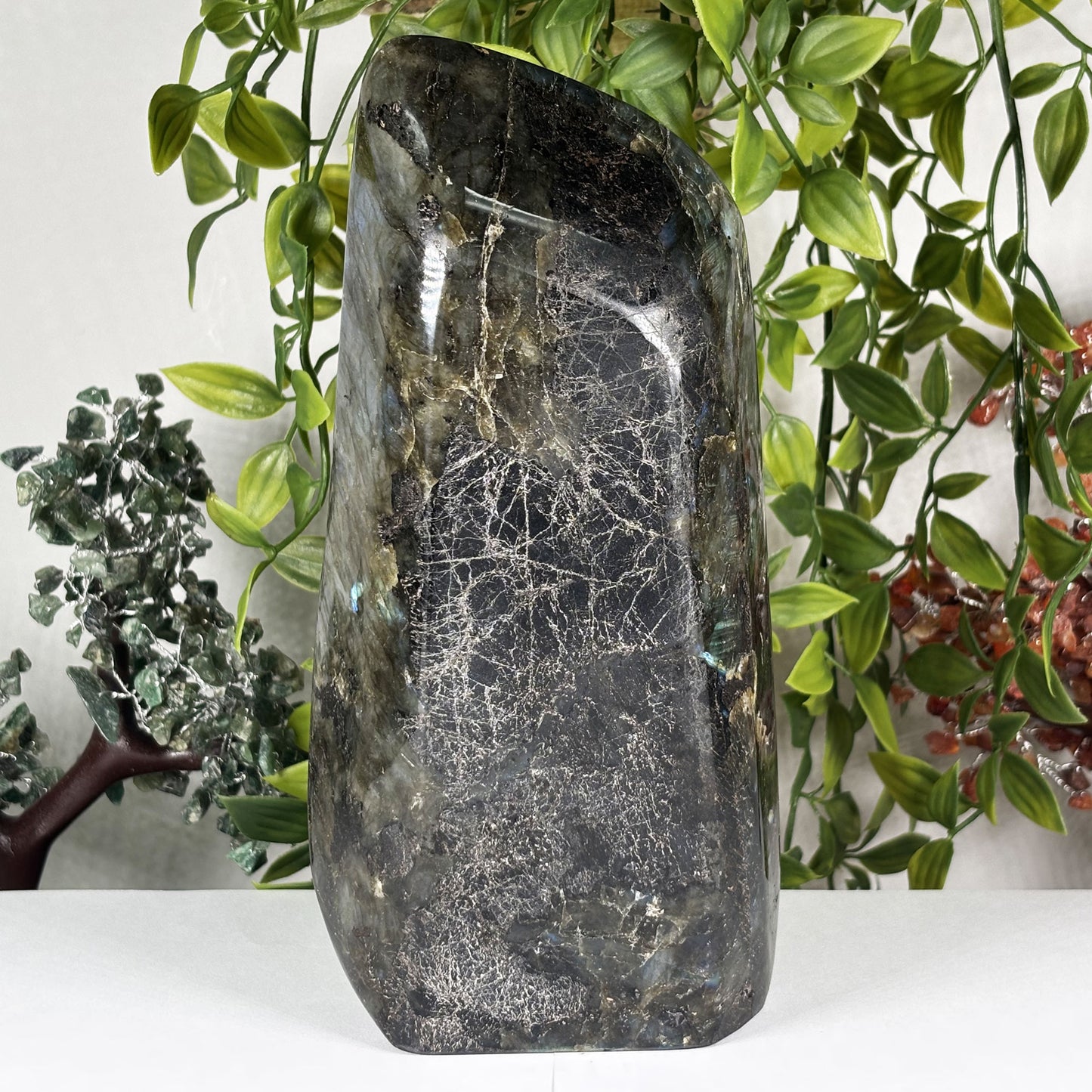 Natural Labradorite Crystal Freeform Blue Flash Polished Display Specimen 8 Inch Madagascar