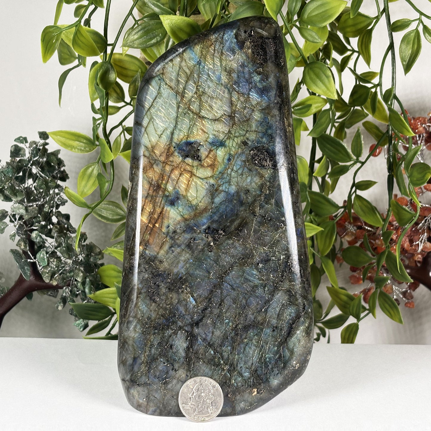 Natural Labradorite Crystal Freeform Blue Flash Polished Display Specimen 8 Inch Madagascar
