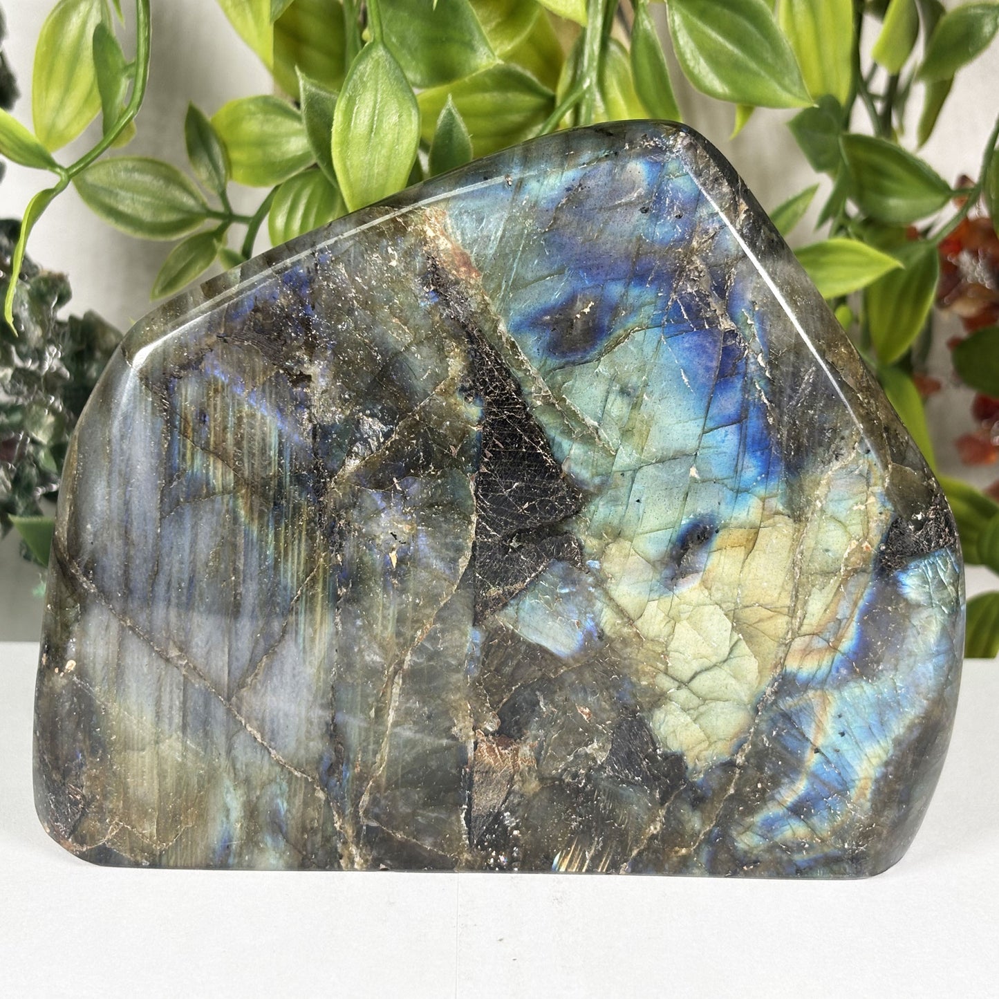 Natural Labradorite Freeform Polished Crystal Display Stone Madagascar 5.25 Inch